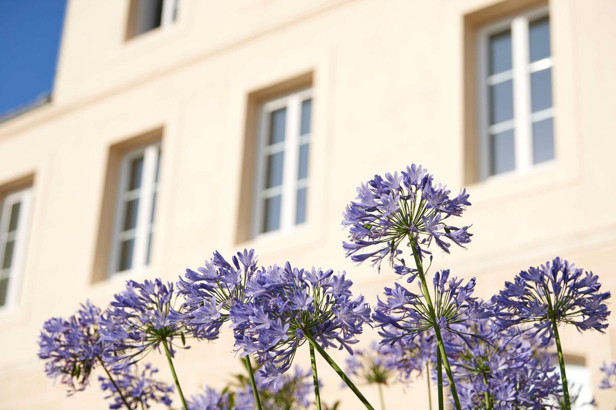 Best Western Premier Hotel Des Vignes Et Des Anges Pauillac Eksteriør billede