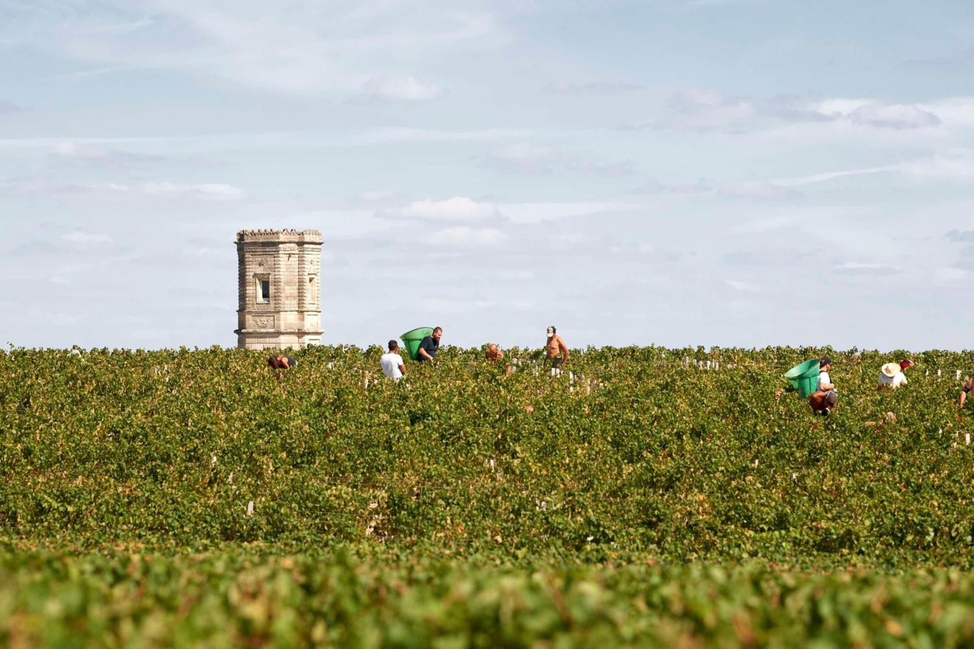 Best Western Premier Hotel Des Vignes Et Des Anges Pauillac Eksteriør billede